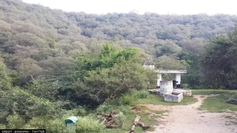 Palaeolithic site found in Faridabad's hill forest may be largest in Indian subcontinent Palaeolithic