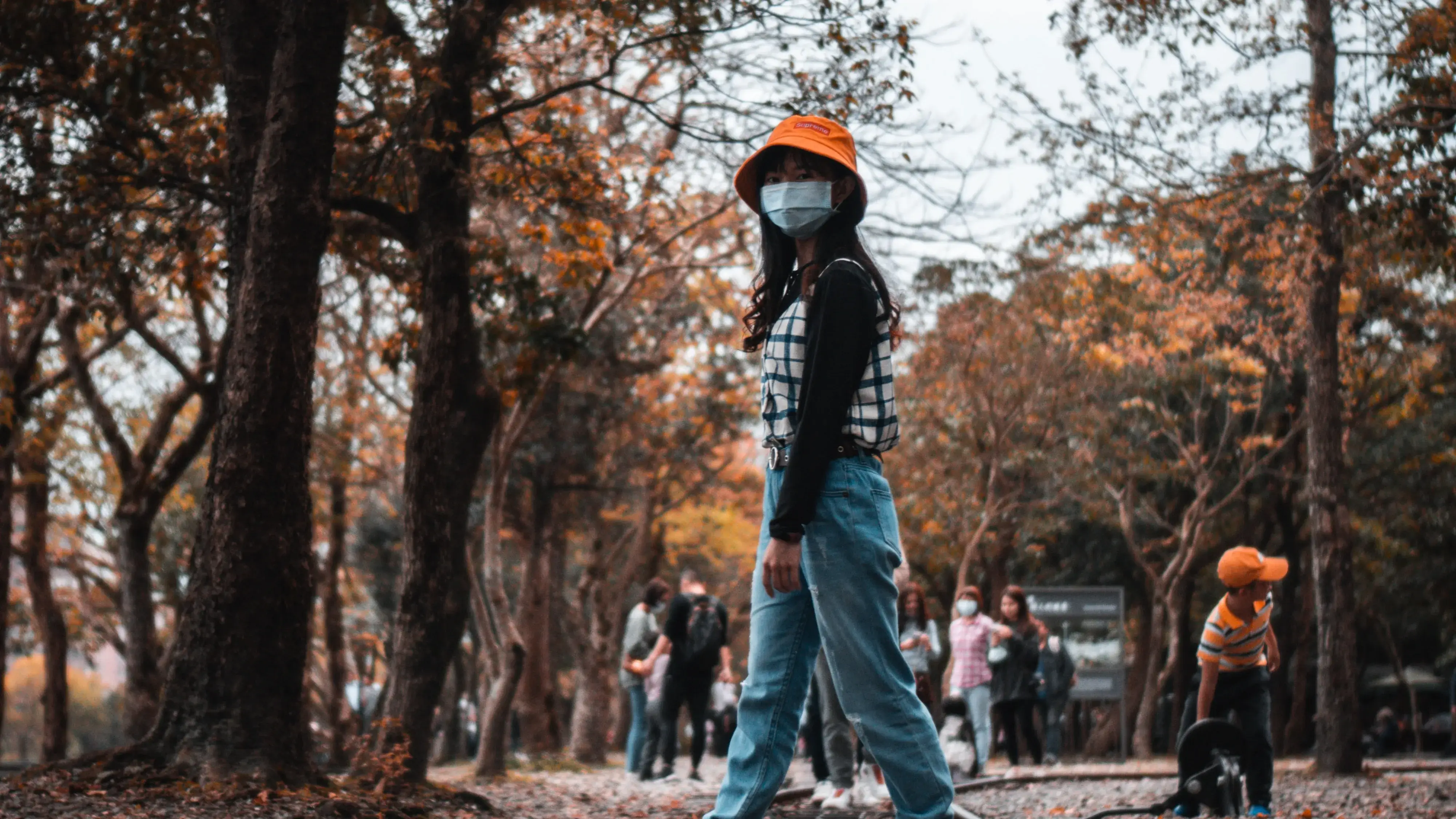 Description of the pic