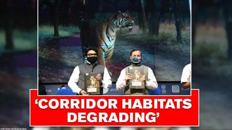 'Tiger corridors need immediate attention,' says govt report even as population rises Tiger Corridors