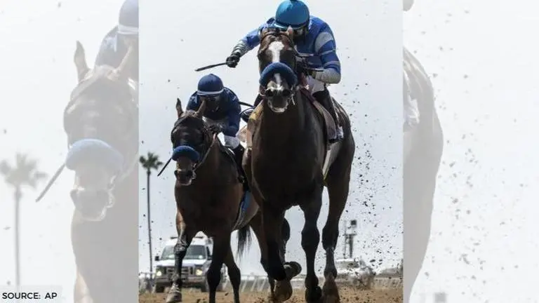 what happened to thousand words