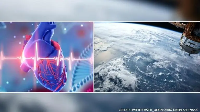 Human heart gets 'smaller and shrinks' in long space travel, finds study human heart