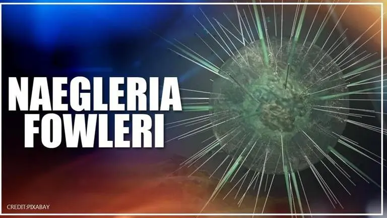 Florida DOH confirms presence of rare brain-eating amoeba, one person infected Florida