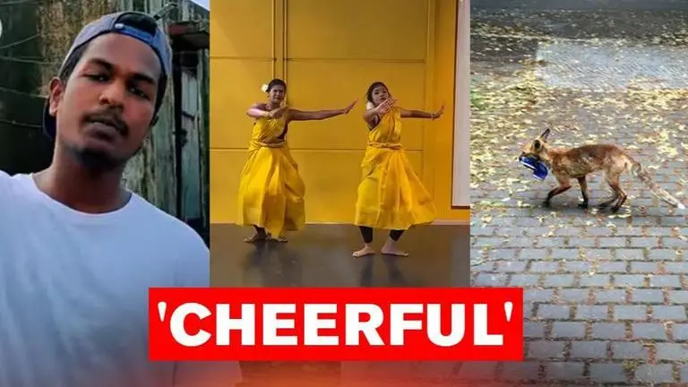 Good News: Temple feeds stray dogs; rappers compose 'COVID-19 anthem'; 5 uplifting stories Good News