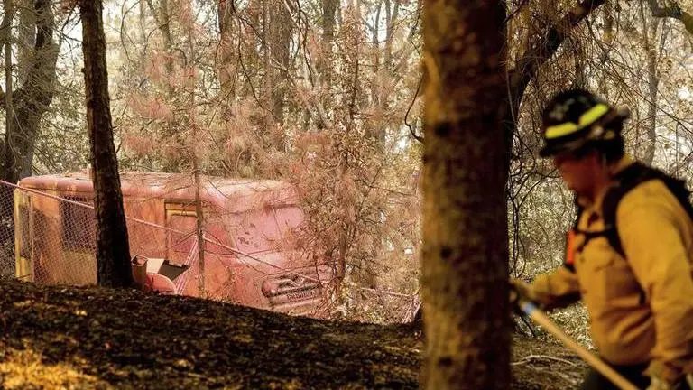 California forest closed as wildfires burn, heat returns forest,wildfires