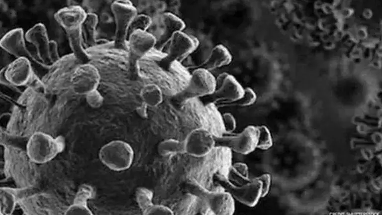 France testing if nicotine could prevent people from contracting coronavirus COVID-19