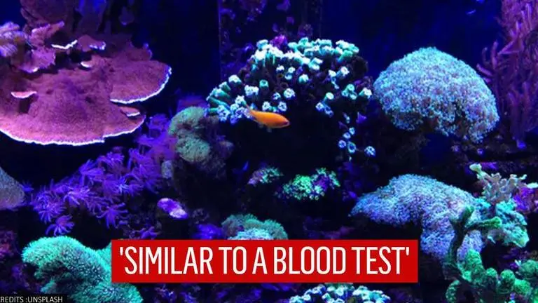 Indian-origin researcher leads study to develop new technique to identify 'coral health' scientist, corals