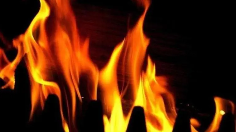 Forest fires erupt in Himachal's Kinnaur district