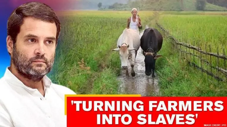 'Modi Govt turning farmers into slaves,' says Rahul on Farm Bills, poses questions on MSP Rahul Gandhi