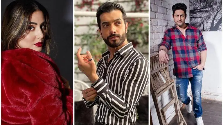 Television Celebrities