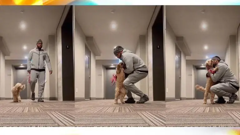 Cockapoo dog hugs its owner every time he leaves the house; watch video here Cockapoo