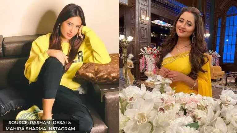 Mahira Sharma reveals why she rejected role of Shalaka in 'Naagin 4', find out mahira sharma