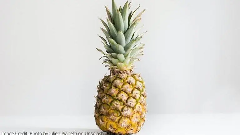Ways to put pineapple skin to good use by preparing these items from it pineapple peel