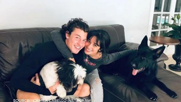 Shawn Mendes and Camila Cabello’s combined net worth will make you go 'OMG'; Read shawn mendes