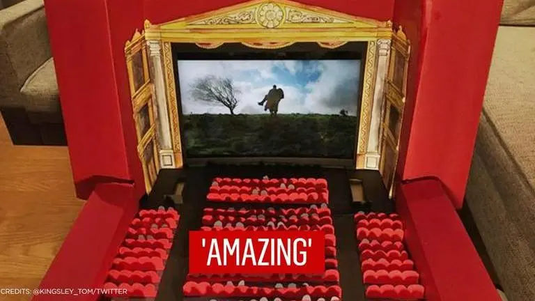 British film director creates cute 'lockdown cinema', his cat watches show Director