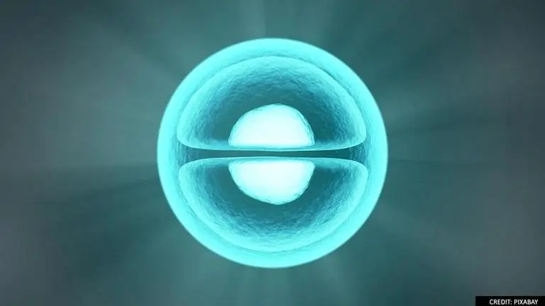 Google's AI solves 50-year-old protein problem, discovers 3D structures of 20,000 proteins Google