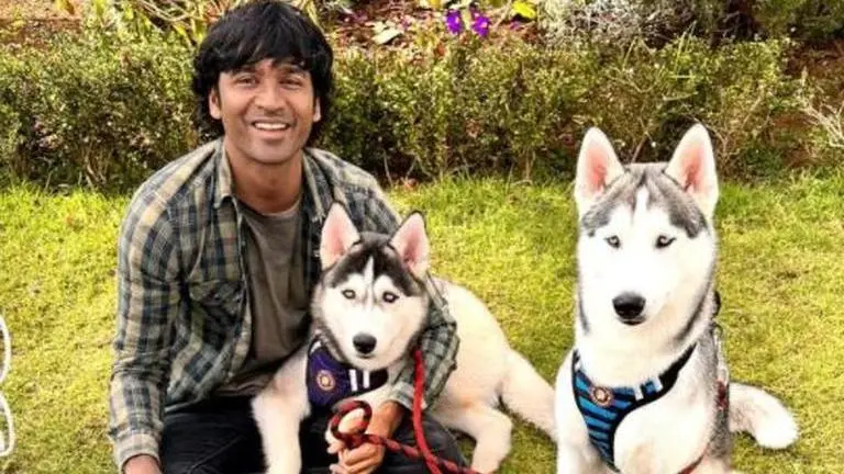 South star Dhanush shares happiness over 'meeting his dogs'; calls it 'a long due reunion' Dhanush reunites with his dogs