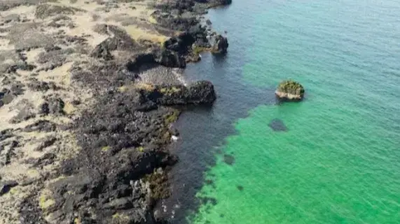 Description of the pic