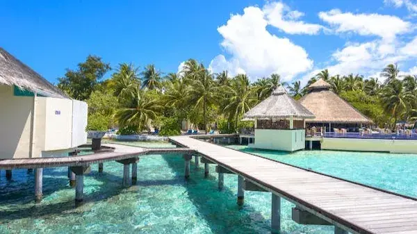 World Bank urges Maldives to safeguard natural capital for economy Maldives
