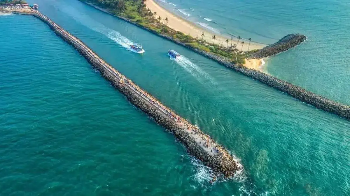 Description of the pic