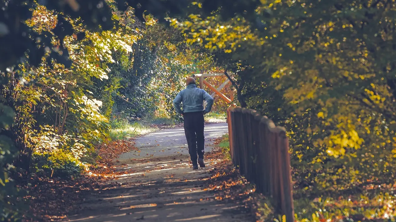 You Won't Ignore Early Morning Walks After Knowing These Health Benefits Walking meditation is a mindfulness practice that involves walking slowly and deliberately while paying attention to each step and breath.