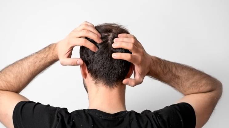 Description of the pic