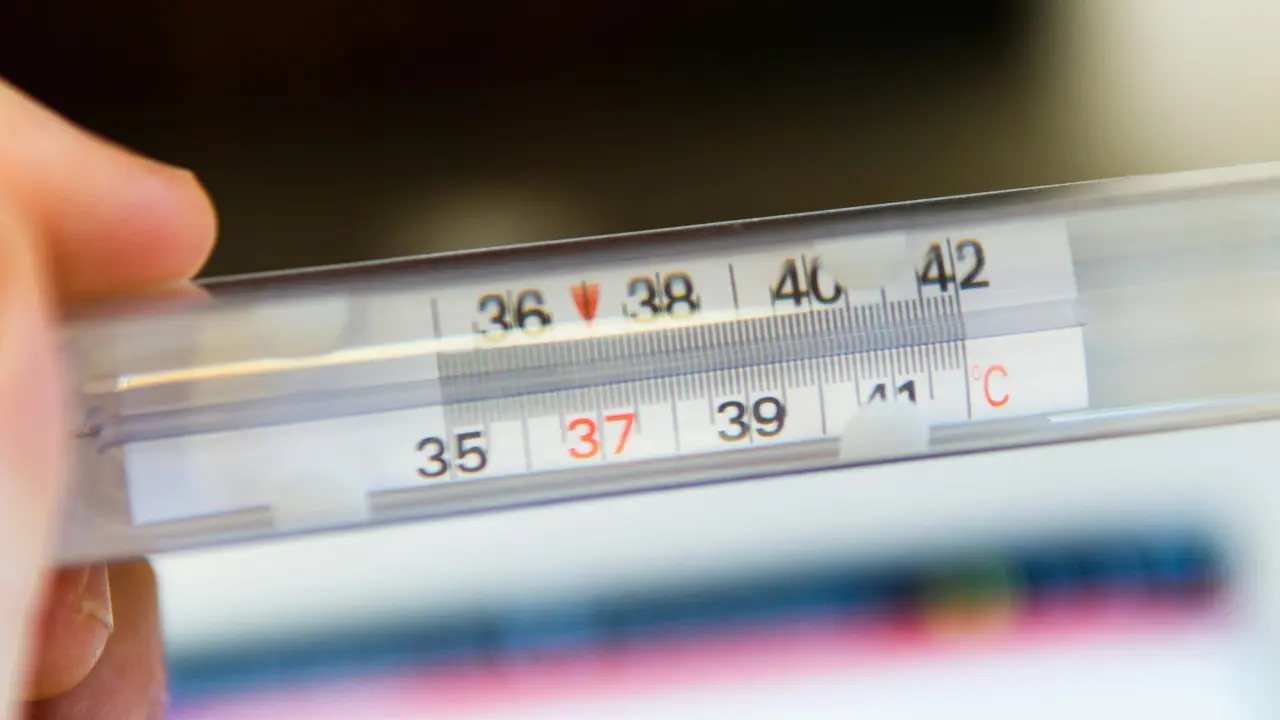 Monkey Fever: Causes, Symptoms, Treatment Of The Disease That Has Claimed 2 Lives In Karnataka What Is Monkey Fever? The Disease That Has Claimed 2 Lives In Karnataka