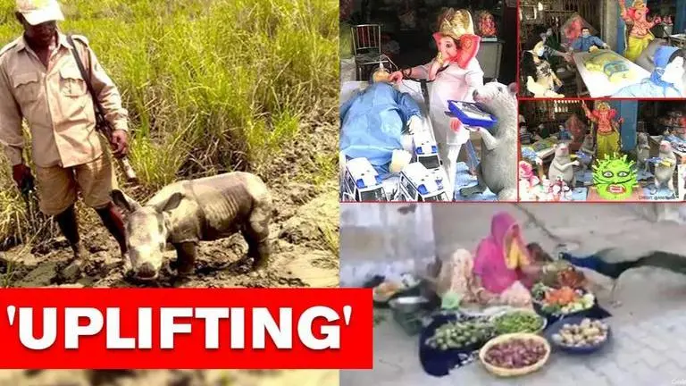 Good News: From idols dressed as healthcare workers to rhino's rescue, read 5 stories Good News