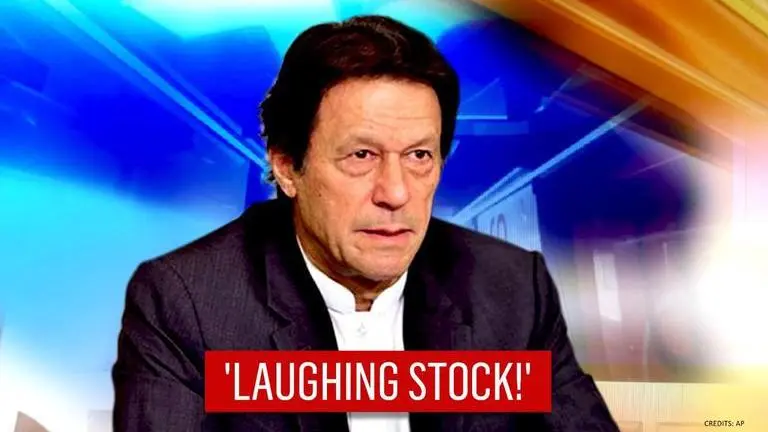 Pakistan Assembly votes to call back non-existent envoy from France, netizens in splits Pakistan