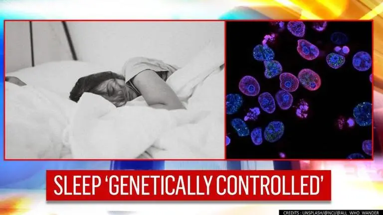 DNA determines sleep patterns, duration under 'strong genetic control', says study DNA