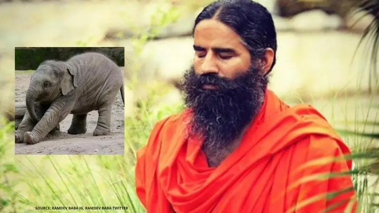 Swami Ramdev tweets photo of baby elephant 'doing yoga', netizens impressed Swami Ramdev