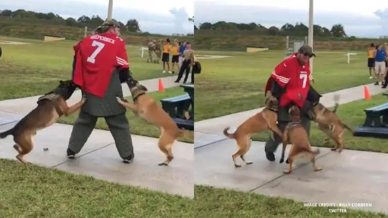 Navy SEALs use 'Colin Kaepernick stand-in' to demonstrate K-9 dog attack: Watch navy seal mueseum