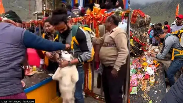 FIR lodged against Noida-based vlogger for taking his pet dog to Kedarnath Temple Kedarnath