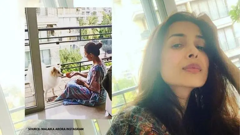 Malaika Arora shares candid photo with pet Casper, says 'he leads, I follow' Malaika Arora