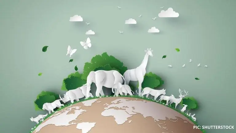 What is theme of World Environment Day 2020? Read to know details What is the theme of World environment day 2020