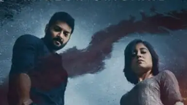 Description of the pic