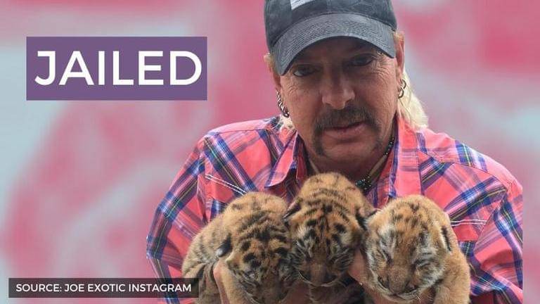 What happened to Joe Exotic? Why is the 'Tiger King' Joe Exotic in jail ...