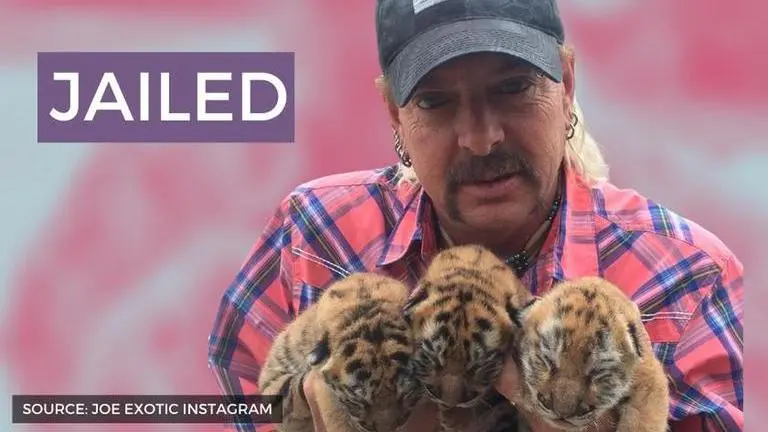 What happened to Joe Exotic? Why is the 'Tiger King' Joe Exotic in jail? what happened to joe exotic