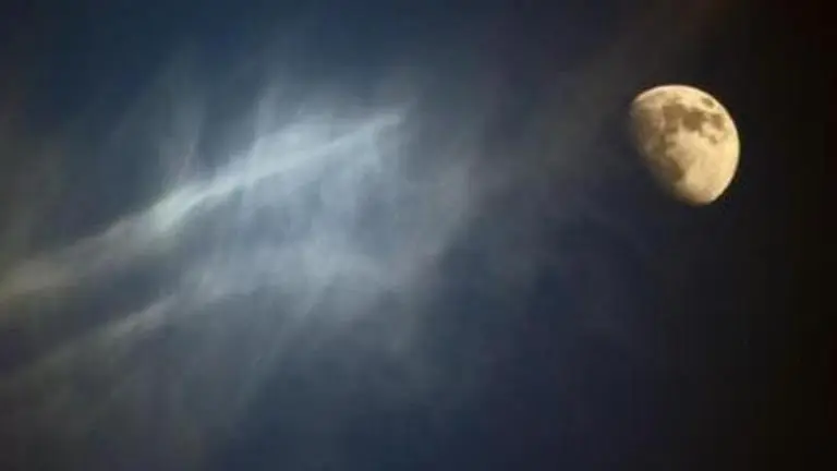 Gravitation of sun and moon affect organisms' behavioural patterns: Study sun