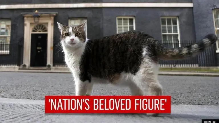 UK: 10 Downing Street's 'incredible' cat celebrates 10 years as mouse-catcher in chief 10 Downing Street