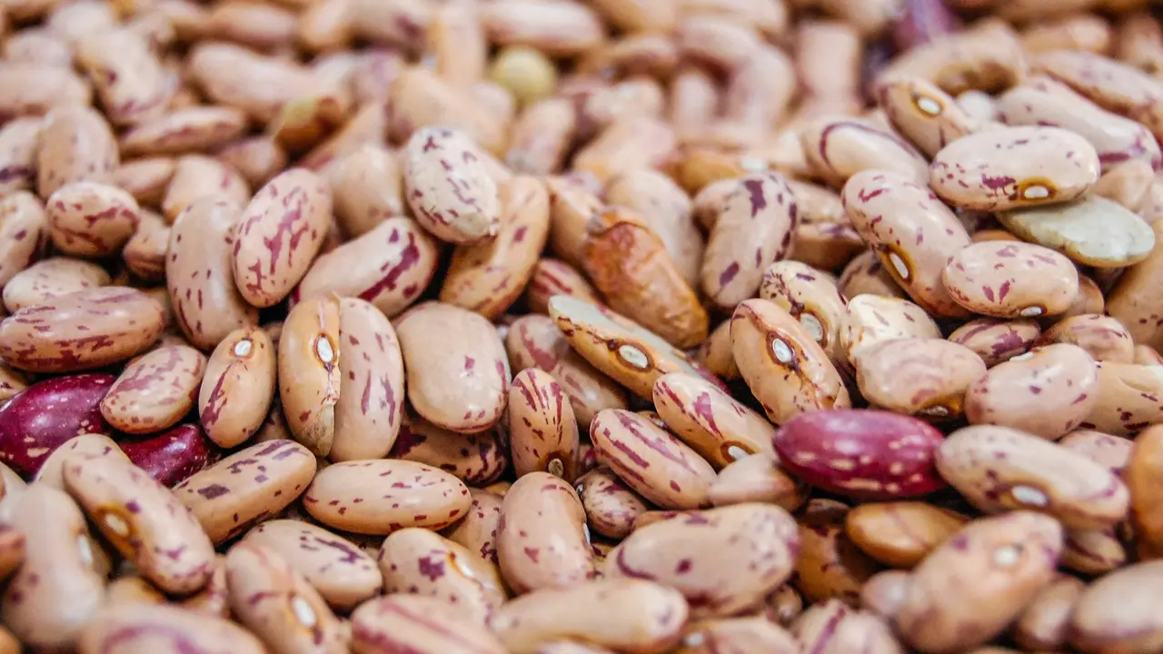 Green Gram, Urad Dal And Other Pulses To Avoid During Monsoon Rajma, also known as kidney beans, is a popular legume in Indian cuisine, particularly in the northern regions of the country.