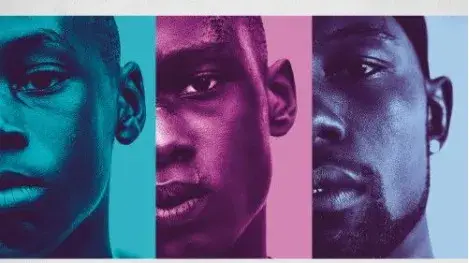 Description of the pic