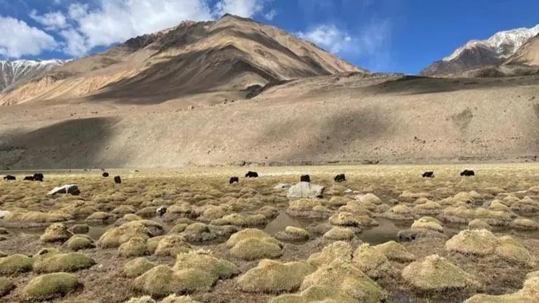 Geothermal energy – a clean and green means to achieve carbon neutrality in Ladakh Ladakh
