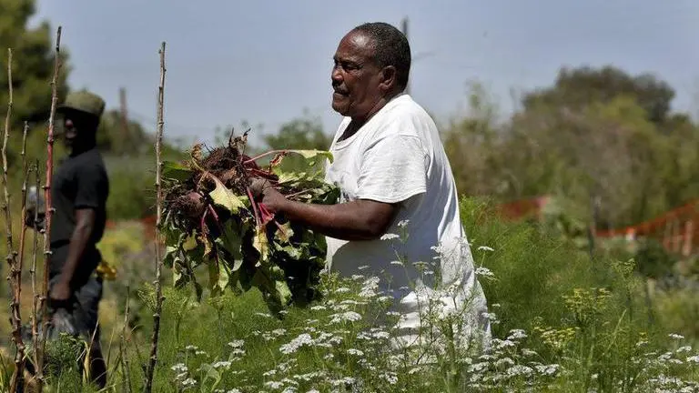 Pandemic complicates counting of refugees in census Pandemic complicates counting of refugees in census