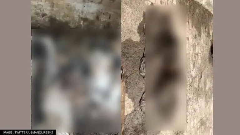 Horror in Pakistan: Dozens of decomposing bodies found on hospital's roof in Nishtar Pakistan