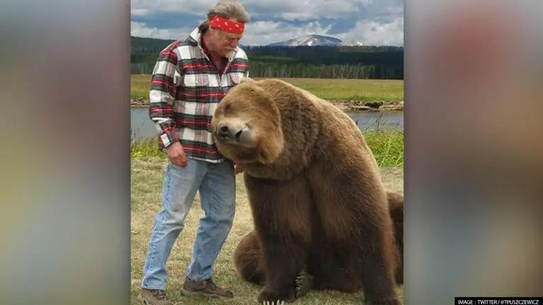 Bart the Bear II: Celebrity bear who featured in 'Game of Thrones', 'Dr Dolittle' dies bart the bear 2