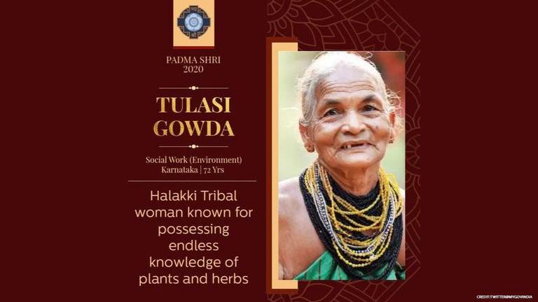 Tulasi Gowda: Meet 'Encyclopedia of forest' honored with Padma Shri ...