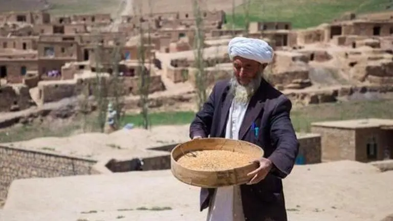 Afghanistan: 13 million grappling with food shortages as drought, COVID-19 crisis worsens Afghanistan