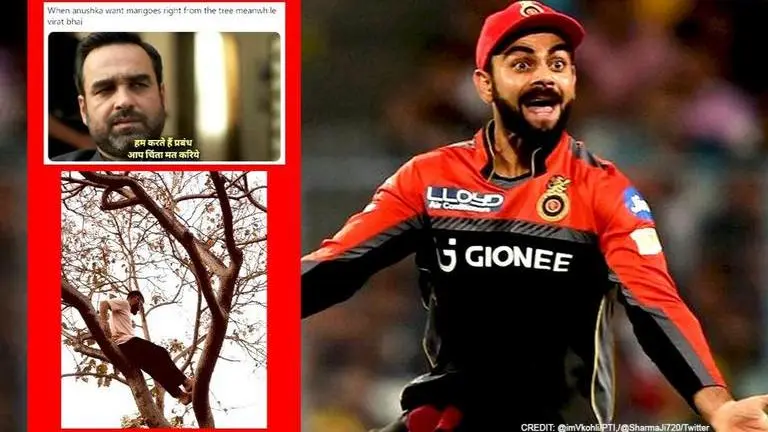 Virat Kohli's post about climbing up tree sparks memes fest, fans drop hilarious comments Virat Kohli