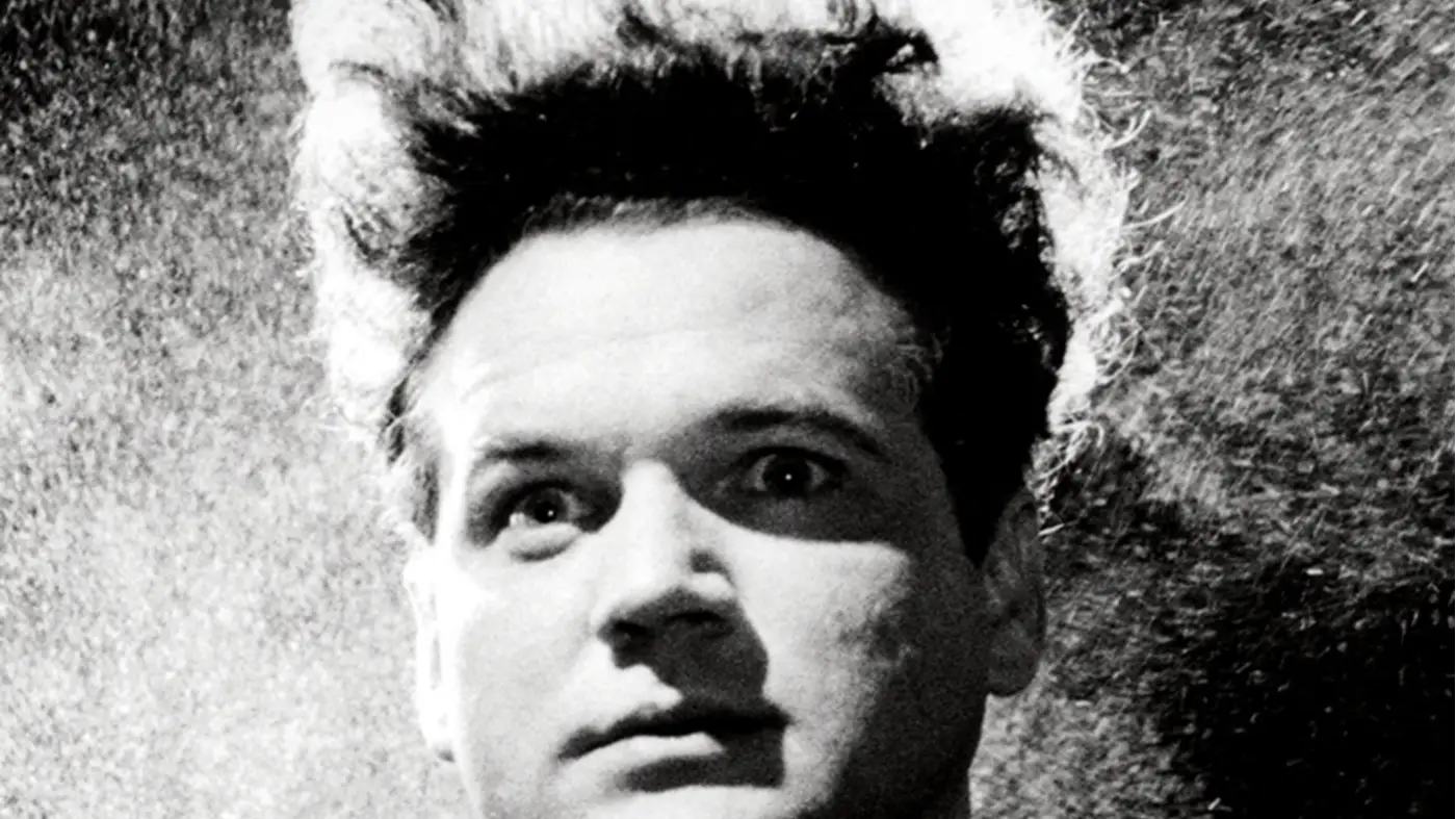 Description of the pic