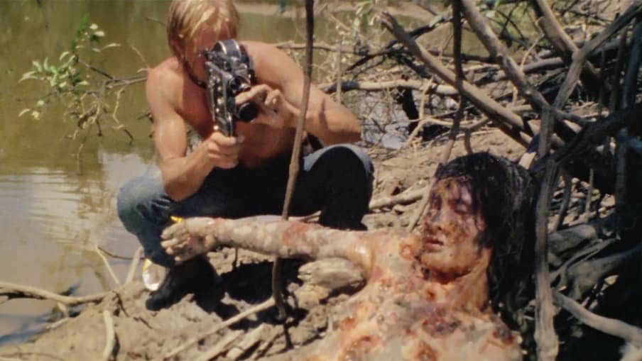 Description of the pic